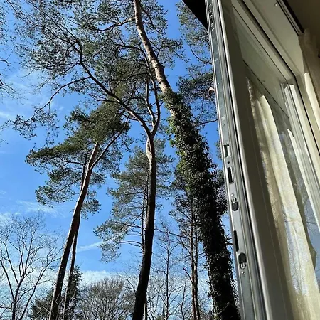 Boshuis Buiten - Houten Huis In Veluwse Bos Met Haard & Buitenbad *