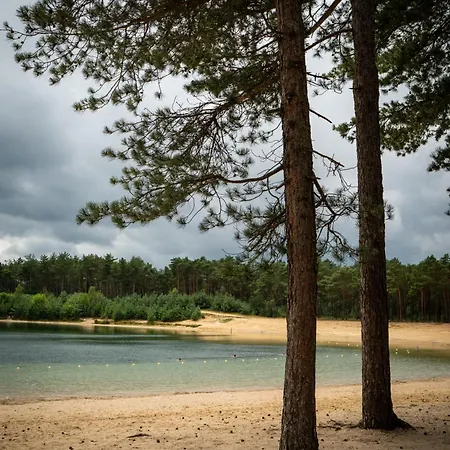 Boshuis Buiten - Houten Huis In Veluwse Bos Met Haard & Buitenbad *