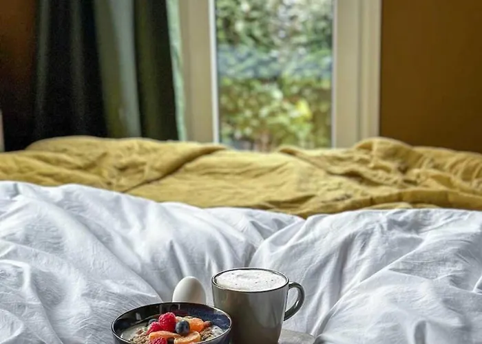 Summ - Luxe Tiny Boutique Veluwe Tatil Evi *