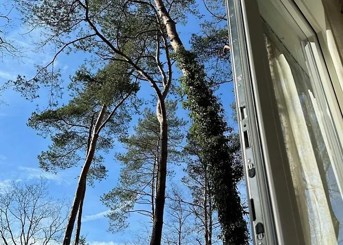 Summ - Luxe Tiny Boutique Veluwe *